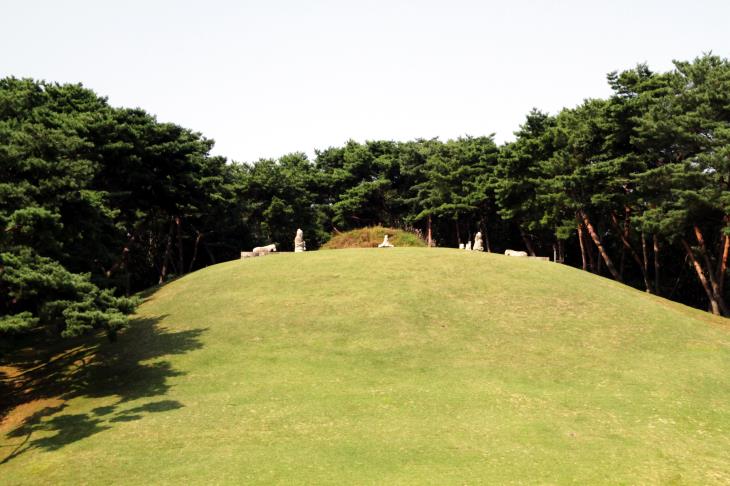 이곳은 조선왕조 500년 역사를 시작한태조 이성계가 잠든 건원릉이다