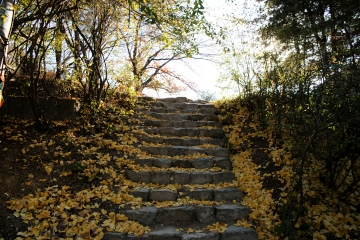 가파른 산책로를 오르면 권율 장군이 말을 씻긴 자리, 세마대를 만날 수 있다.