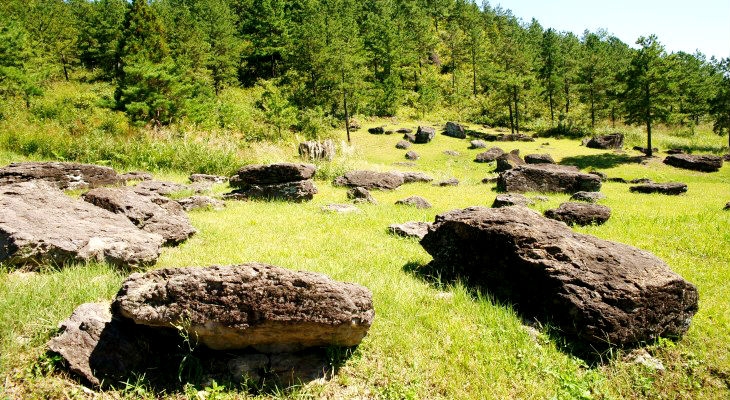 화순 고인돌 유적 전경. 약 10km 거리에 걸쳐 5백여 기의 남방식 고인돌이 분포해 있다