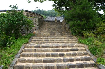 비암사로 들어가기 위한 관문. 돌계단과 보호수를 지나야 비로소 비암사 경내에 닿는다.