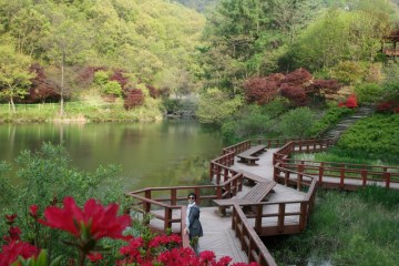 산의 모습이 닭다리를 닮았다고 하여 이름 붙은 '계족산'은 동구와 대덕구에 걸쳐 있다.