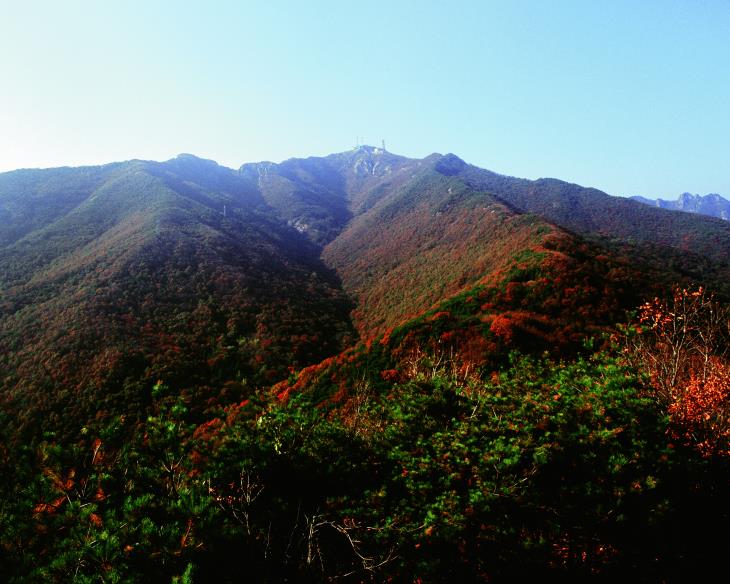 골짜기와 암벽, 수목이 오묘하게 조화를 이룬 계룡산의 산세가 아름답다.