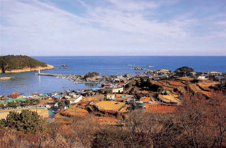 푸르른 바다를 감싸고 옹기종기 모여있는 죽성마을의 전경