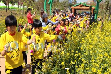 함평 엑스포 공원에서는 매년 나비축제가 개최된다.
