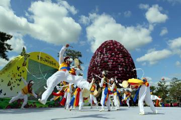 함평 엑스포 공원에서는 매년 나비축제가 개최된다.