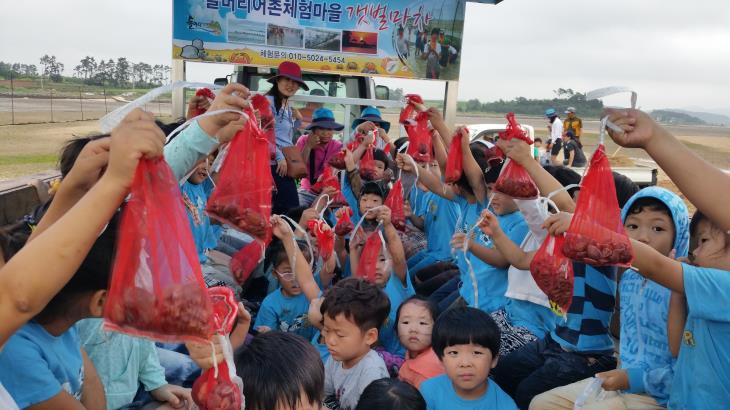 석두마을에서는 갯벌의 생태를 탐사할 수 있다.