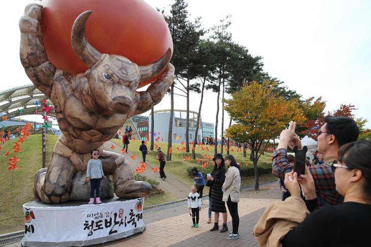 가을이 오면 많은 사람들이 청도반시축제로 간다.